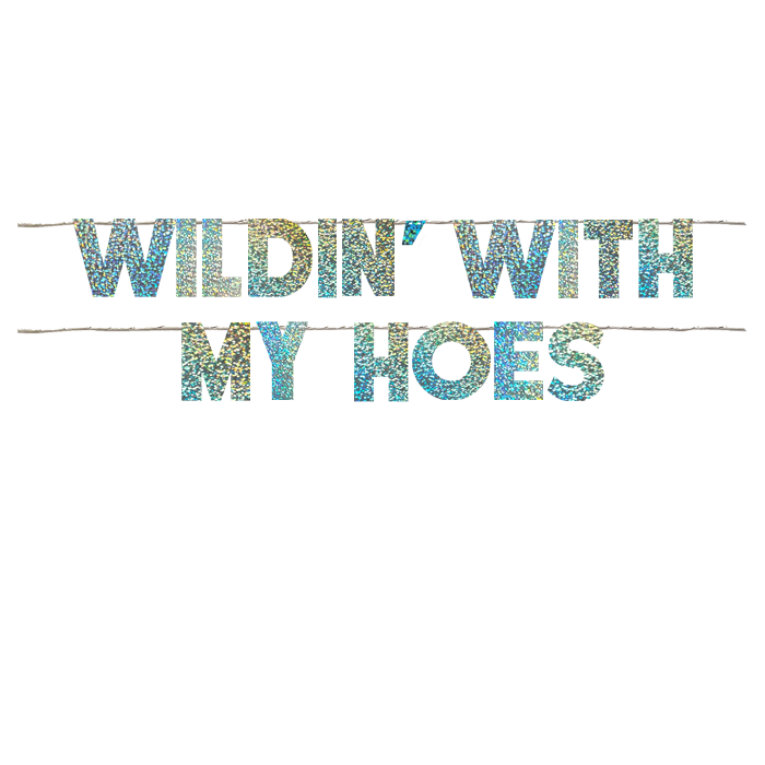 WILDIN' WITH MY HOES