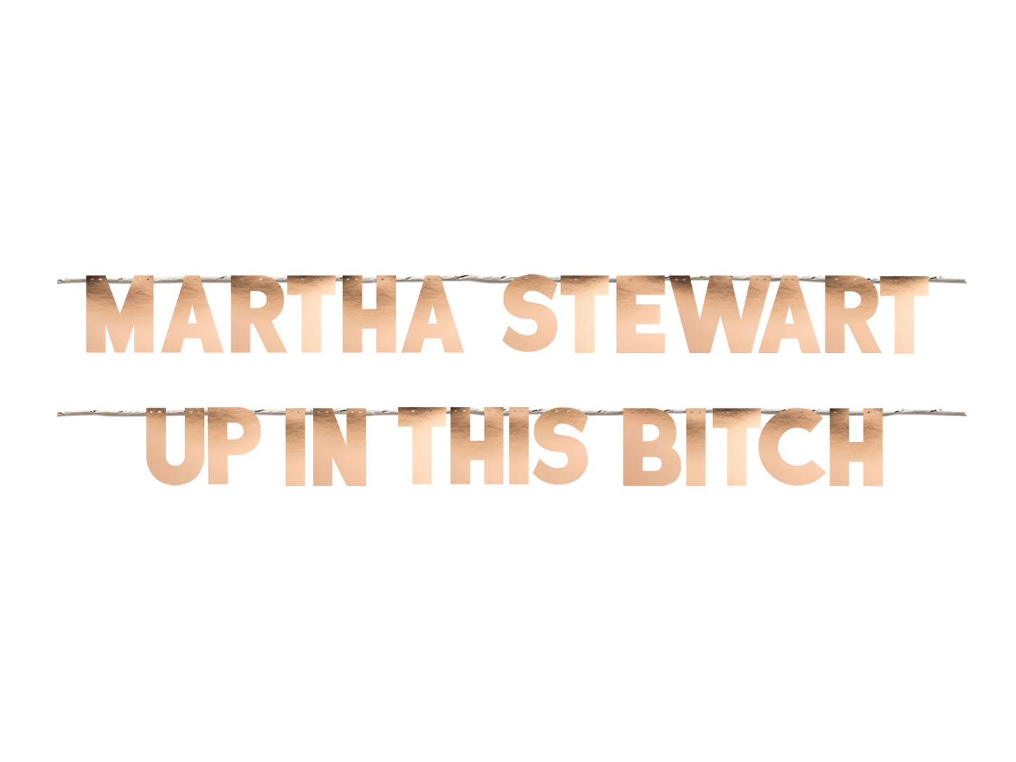 MARTHA STEWART UP IN THIS BITCH
